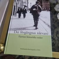 Det f&ouml;rg&aring;ngnas n&auml;rvaro : fjorton historiska ess&auml;er