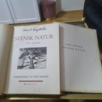 Albert Engtrom  SVENSK NATUR  ETT ALBUM