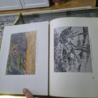 Albert Engtrom  SVENSK NATUR  ETT ALBUM