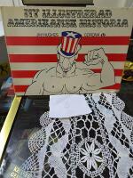 Ny illustrerad amerikansk historia