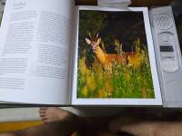 Vilda djur : 100 fantastiska arter och deras l&auml;ten