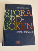 Stora ordboken