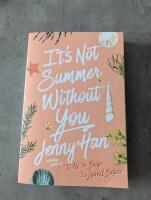 It's not summer without you - a summer novel