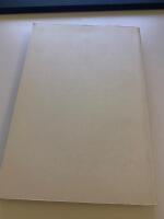 Reflektioner kring rasism