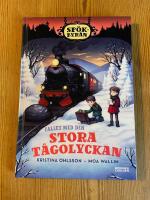 Fallet med den stora t&aring;golyckan