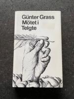 M&ouml;tet i Telgte : en ber&auml;ttelse