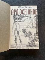 Apa och ande