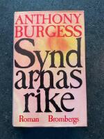 Syndarnas rike : roman