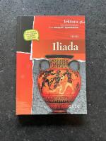 Iliada (The Iliad)