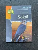 Sok&oacute;ł (The Falcon)
