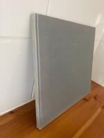 Objektivt sett : [fotografiska bilder fr&aring;n Nyk&ouml;ping under 100 &aring;r]