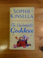 The undomestic goddess