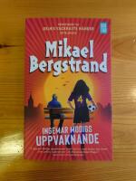 Ingemar Modigs uppvaknande