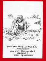 FALKENBERG - STEN OCH FOSSIL-MUSÉET