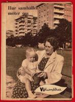 VI HUSM&Ouml;DRAR 1954 NR 9