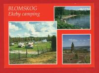 BLOMSKOG - EKEBY CAMPING