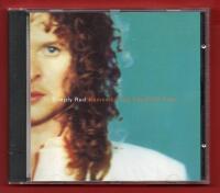 SIMPLY RED - REMEMBERING THE FIRST TIME