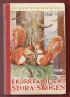 EKORRFAMILJEN I STORA-SKOGEN