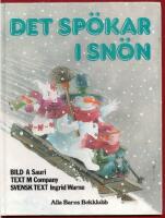 DET SP&Ouml;KAR I SN&Ouml;N