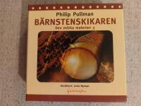 B&auml;rnstenskikaren : Den m&ouml;rka materian 3