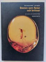 Stenen som flyter och brinner : en bok om b&auml;rnsten