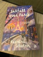 Sn&ouml;fall &ouml;ver Paris