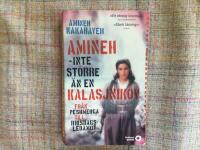 Amineh - inte st&ouml;rre &auml;n en kalasjnikov : fr&aring;n peshmerga till riksdagsledamot
