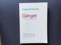 G&auml;nget : en studie av 1313 g&auml;ng i Chicago