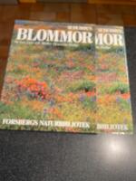 Blommor