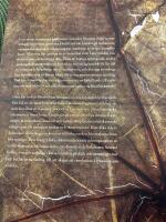 Linn&eacute;s herbarium - v&auml;xtarkens dolda historia