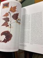 Linn&eacute;s herbarium - v&auml;xtarkens dolda historia