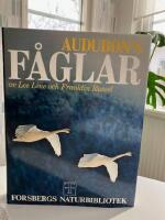 Audubon's f&aring;glar