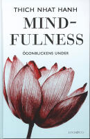 Mindfulness : &ouml;gonblickens under