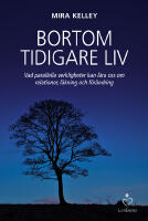 Bortom tidigare liv : vad parallella verkligheter kan l&auml;ra oss om relationer, l&auml;kning och f&ouml;r&auml;ndring
