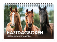 H&auml;stdagboken, H&auml;stens aktiviteter & vardag