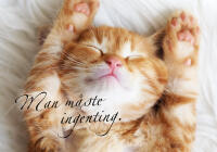 Man m&aring;ste ingenting (40x30 cm): kattunge (liggande)