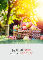 Jag f&aring;r allt st&ouml;d som jag beh&ouml;ver (13x18 cm)