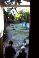 Oxveckor : eller n&auml;r man s&ouml;ker oxar s&aring; - en sj&auml;lvbiografisk tankebok om mitt liv som koaner