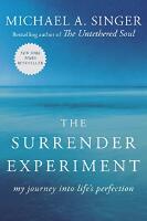 Surrender experiment - my journey into lifes perfection