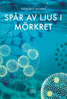 Sp&aring;r av ljus i m&ouml;rkret