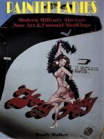 Painted ladies - modern military aircraft nose art and unusual markings