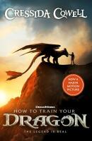 How to Train Your Dragon FILM TIE IN