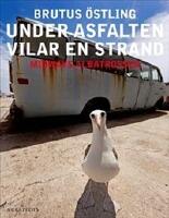 Under asfalten vilar en strand : Midways albatrosser