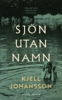 Sj&ouml;n utan namn : De utsatta