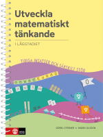 Utveckla matematiskt t&auml;nkande i l&aring;gstadiet : Tidiga insatser och s&auml;rskilt st&ouml;d