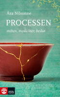 Processen : m&ouml;ten, mediciner, beslut