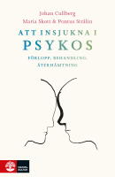 Att insjukna i psykos : f&ouml;rlopp, behandling, &aring;terh&auml;mtning