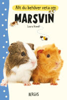 Allt du beh&ouml;ver veta om marsvin