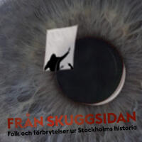 Fr&aring;n skuggsidan : folk och f&ouml;rbrytelser ur Stockholms historia