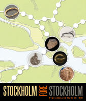 Stockholm f&ouml;re Stockholm : fr&aring;n &auml;ldsta tid fram till 1300